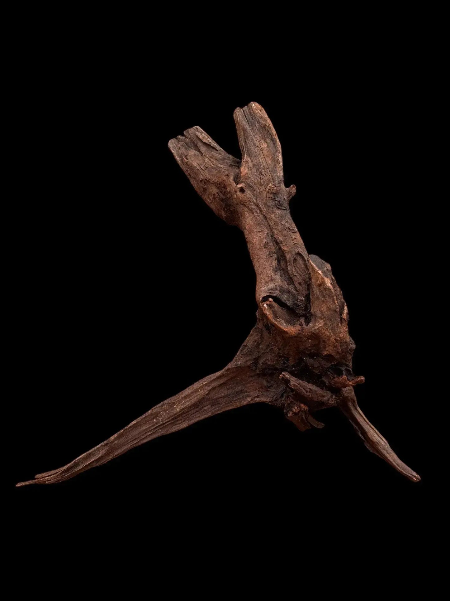 Drift Wood - 53*26*57 - cod.036 AQPET