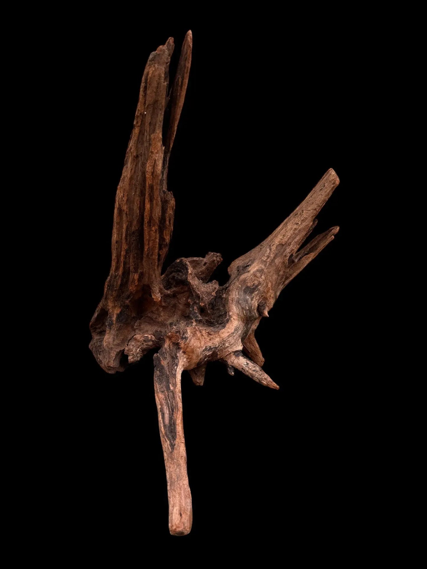 Drift Wood - 36*29*37 - cod.037 AQPET