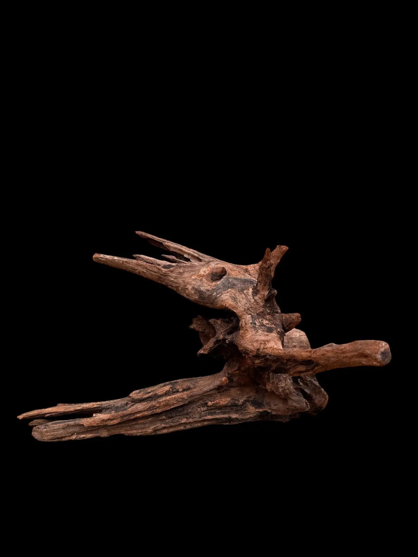 Drift Wood - 36*29*37 - cod.037 AQPET