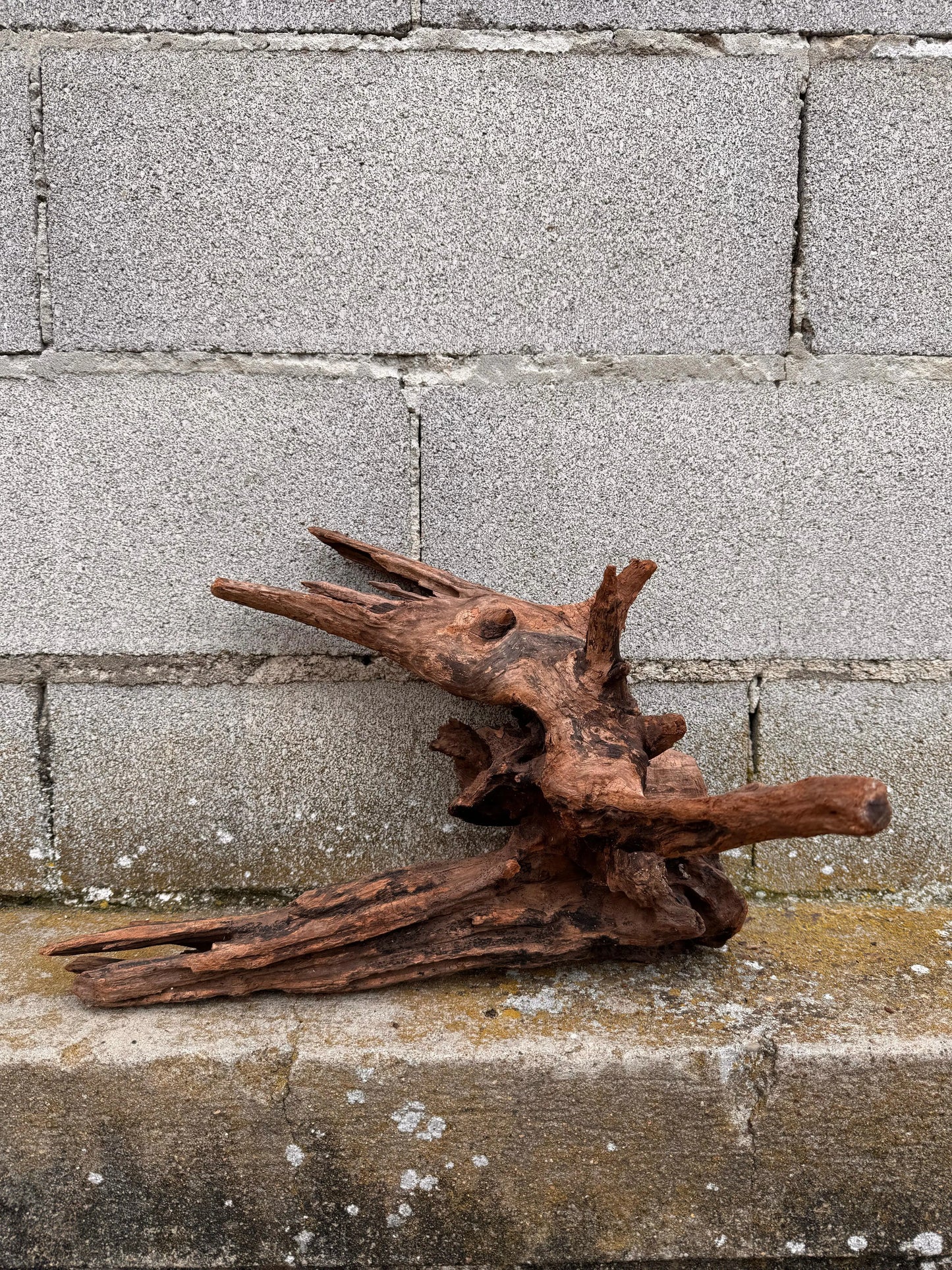 Drift Wood - 36*29*37 - cod.037 AQPET