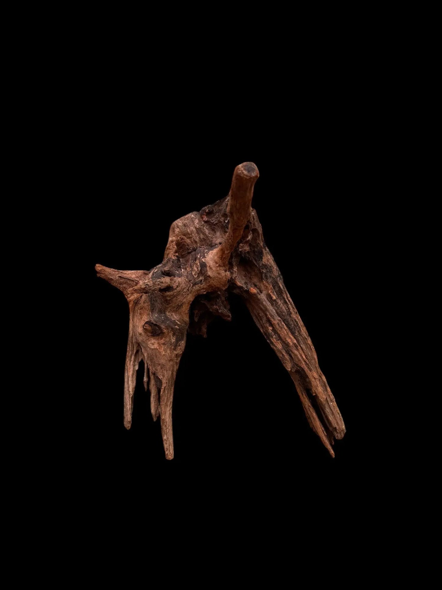 Drift Wood - 36*29*37 - cod.037 AQPET