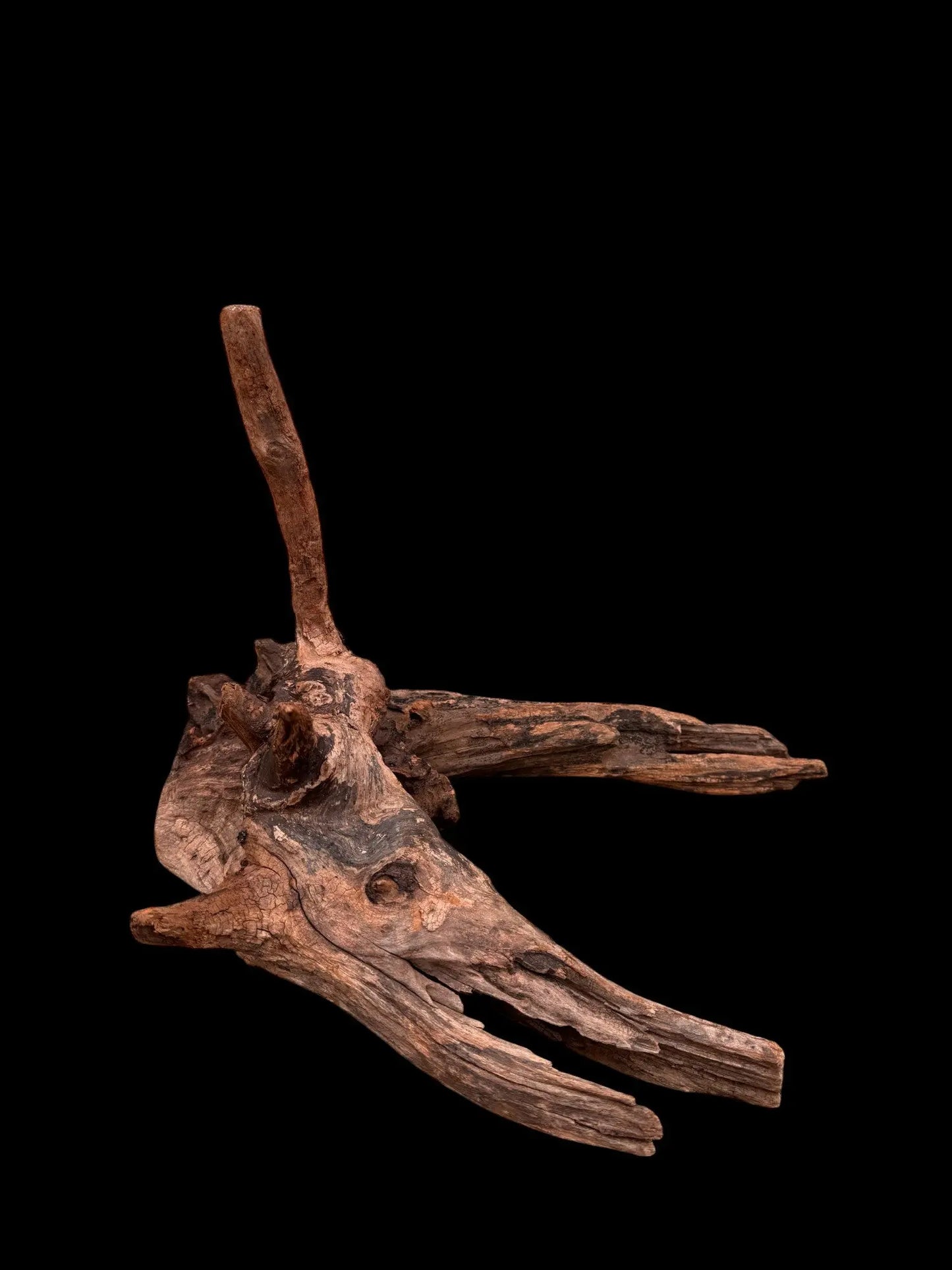 Drift Wood - 36*29*37 - cod.037 AQPET