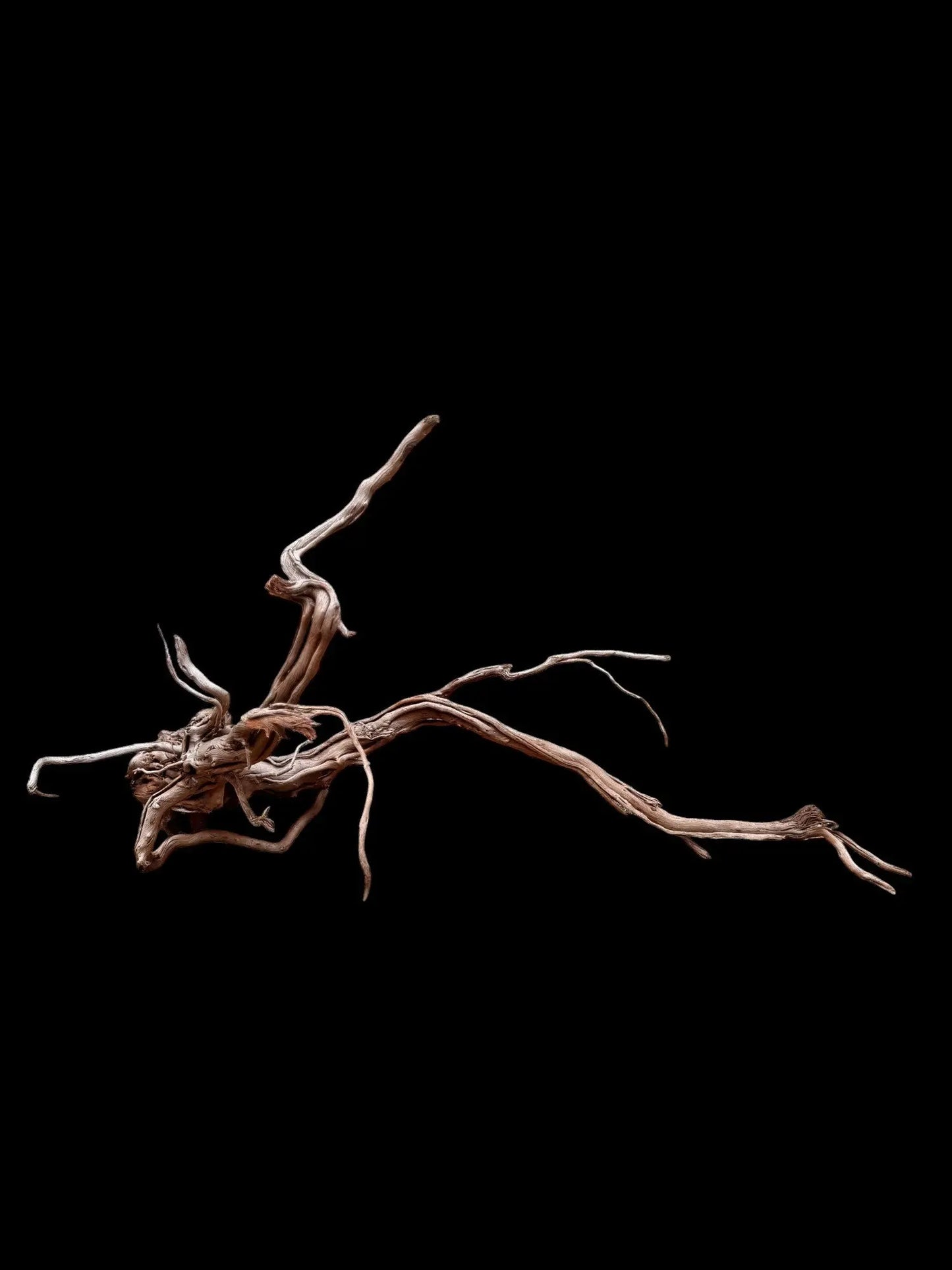 Azalea Roots - 87*27*48 - cod.039 AQPET