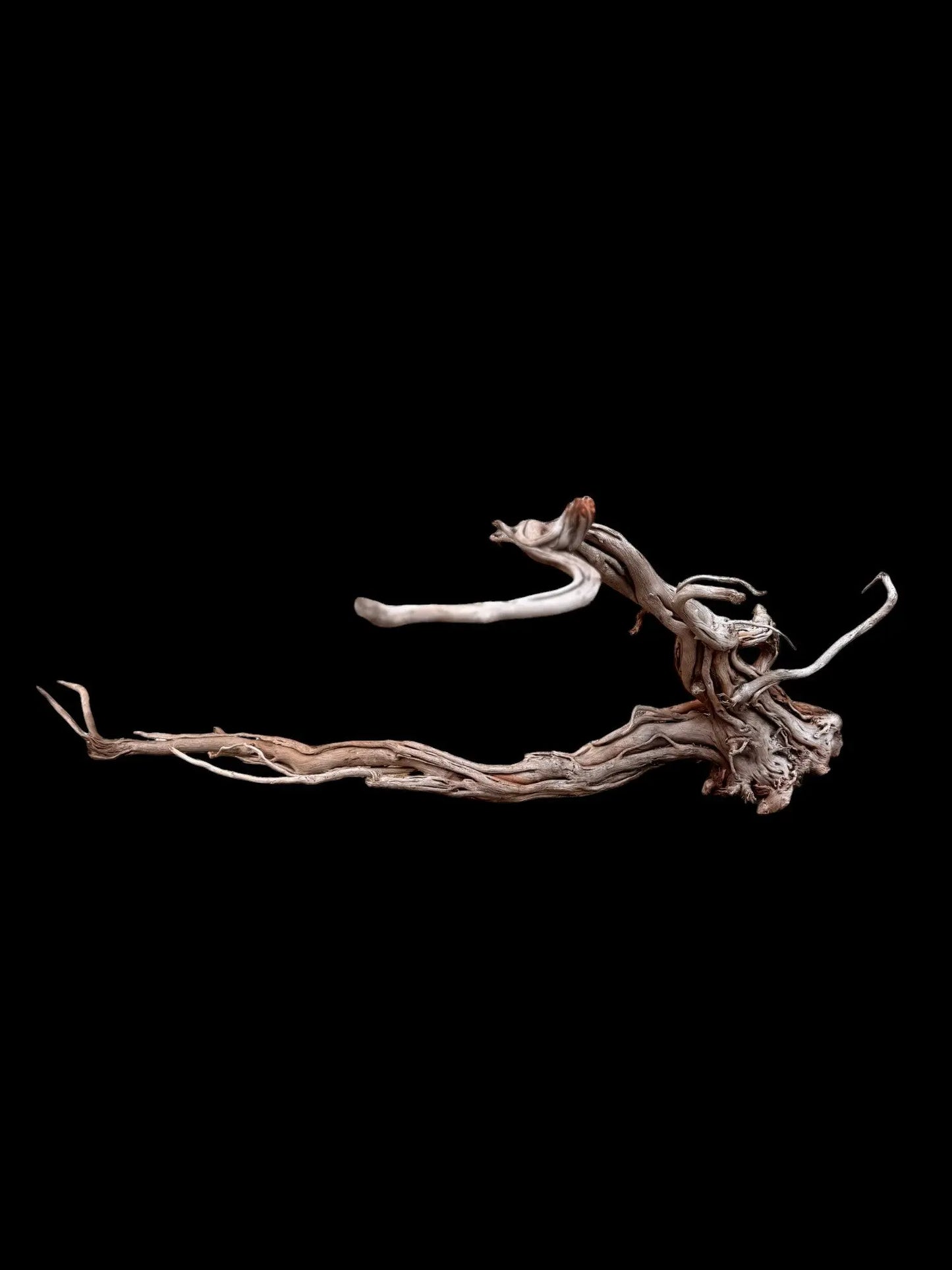 Azalea Roots - 87*27*48 - cod.039 AQPET