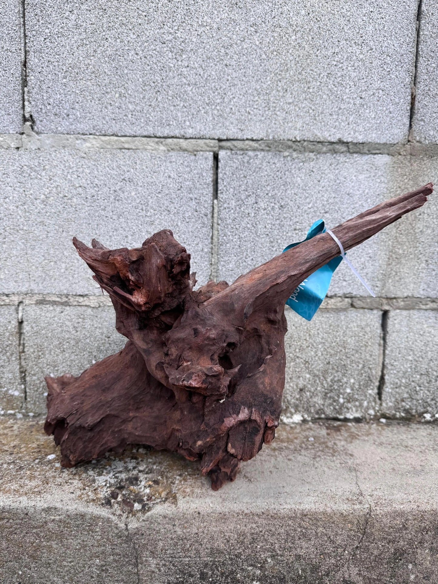 Drift Wood - 45*22*28 AQPET