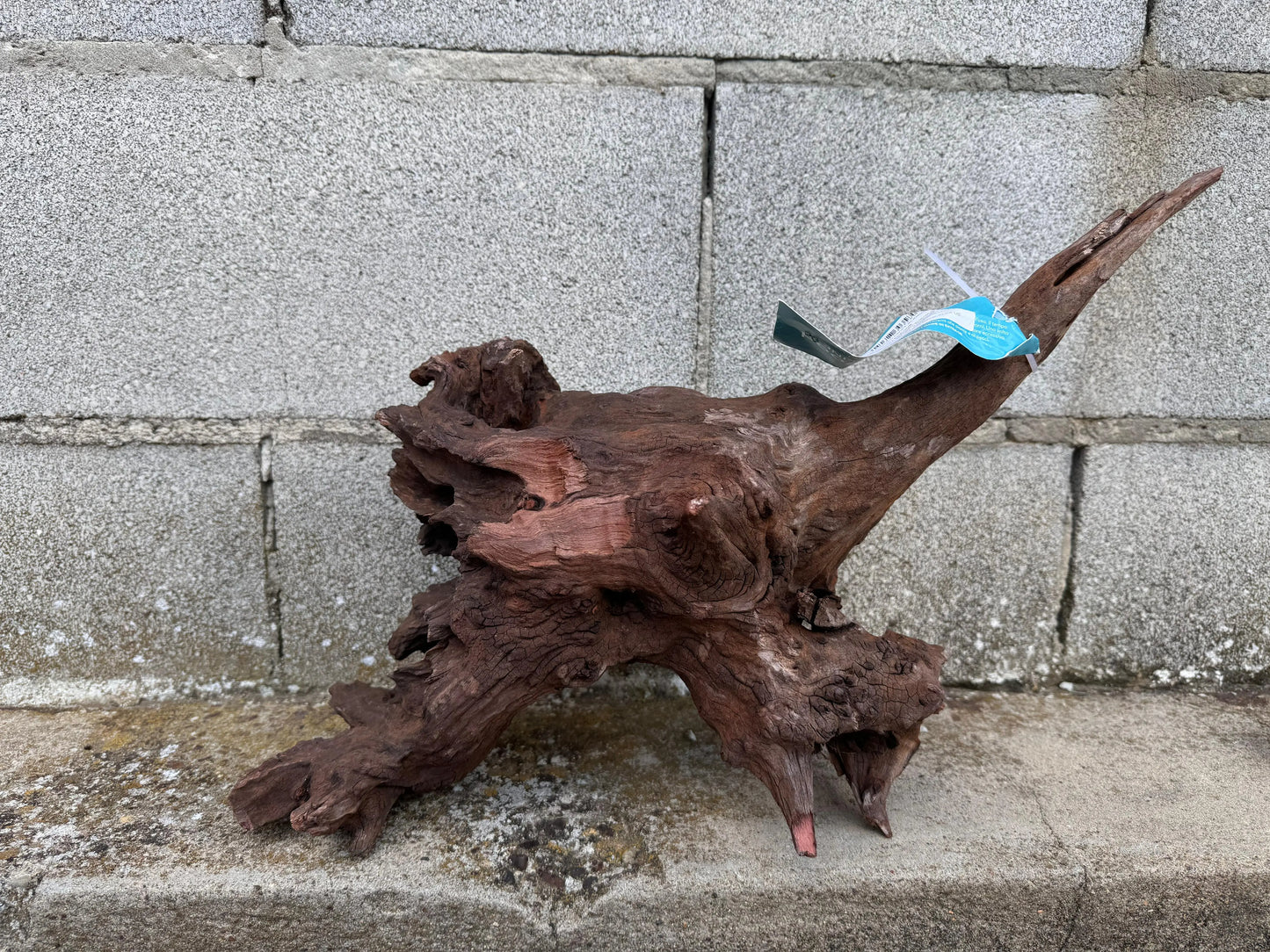 Drift Wood - 45*22*28 AQPET