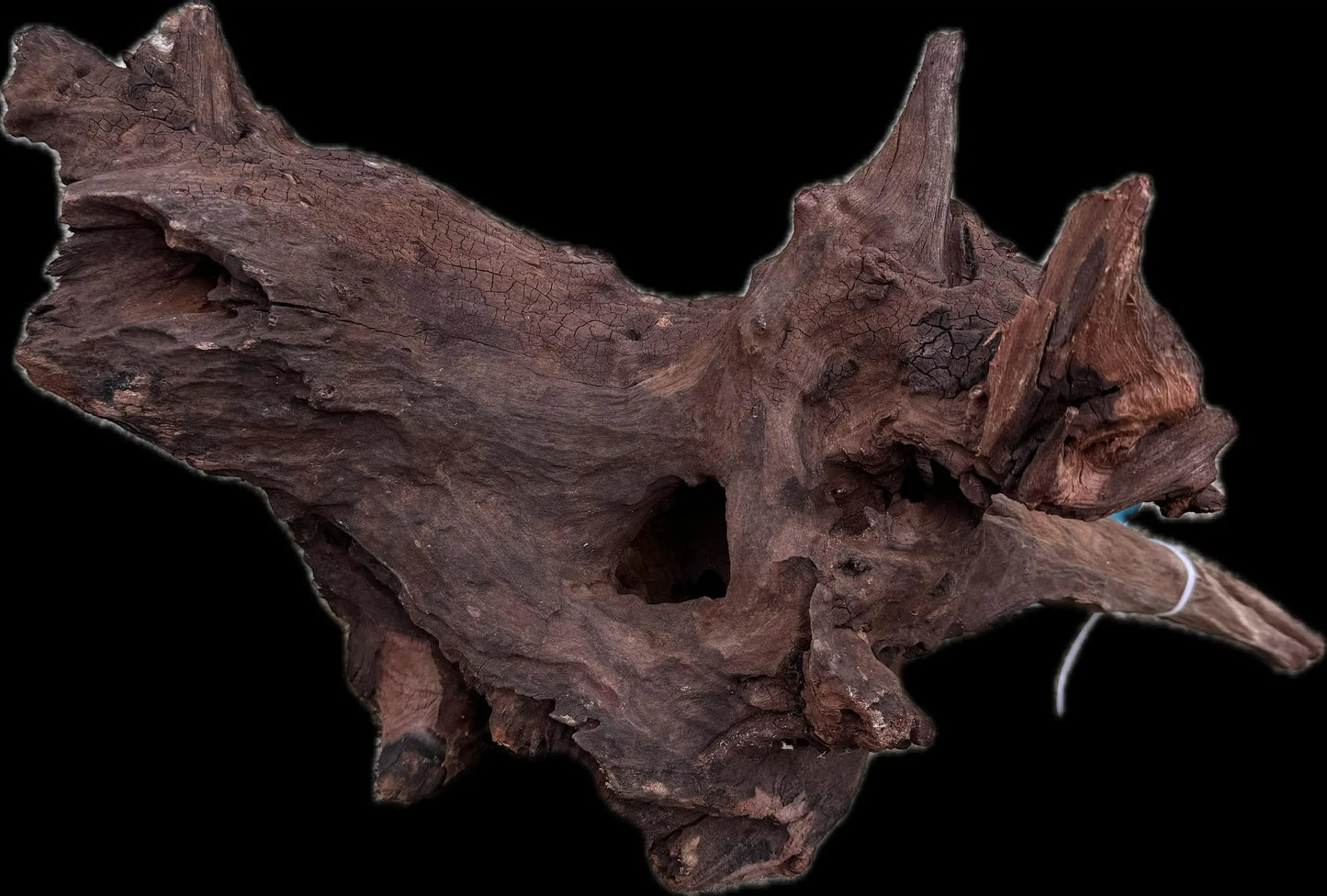 Drift Wood - 45*22*28 AQPET