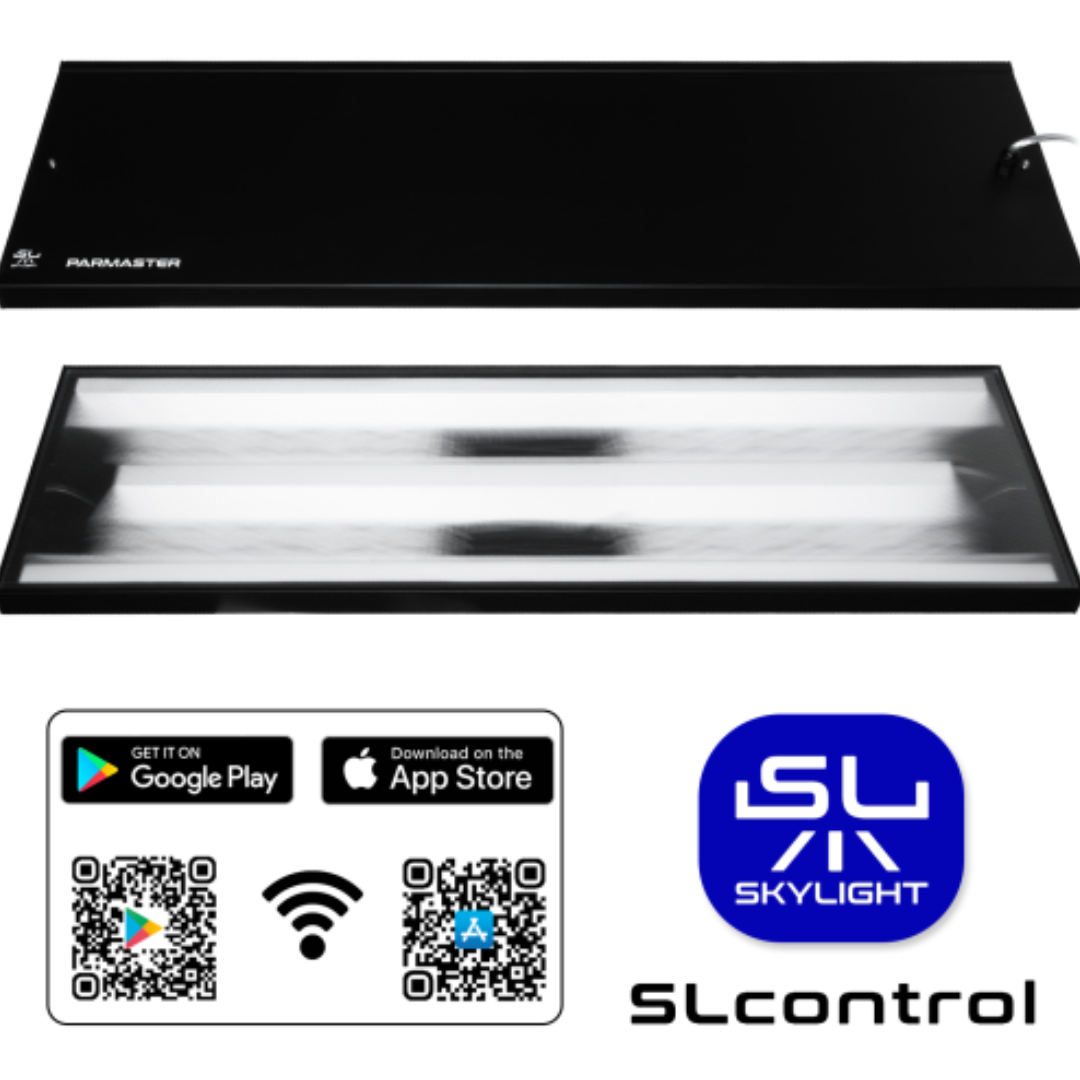 SKYLIGHT - Parmaster RL Skylight