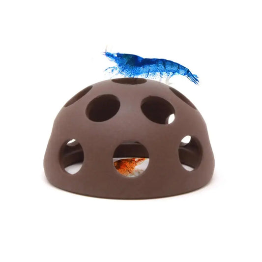 Aquavitro - Shrimp Dome Aquarium Setup