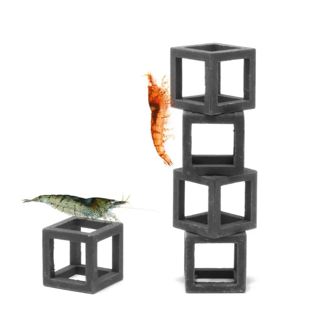 Aquavitro - Shrimp Cubes Aquarium Setup
