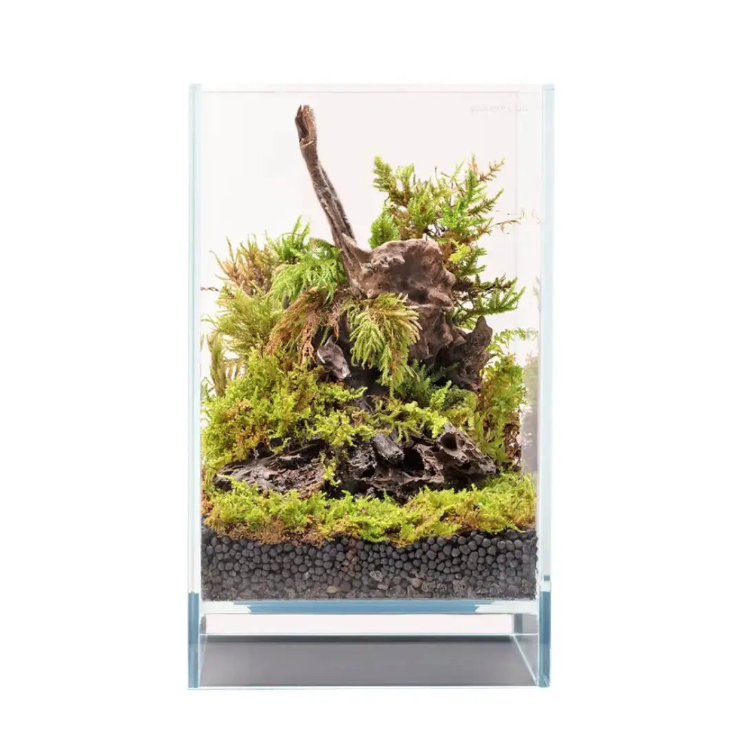 AQPET - Kubic 15 Air - Vasca In Vetro Extra chiaro 15x15x23cm AQPET
