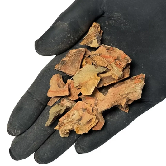 WIO - Dragon Chip Accent WIO