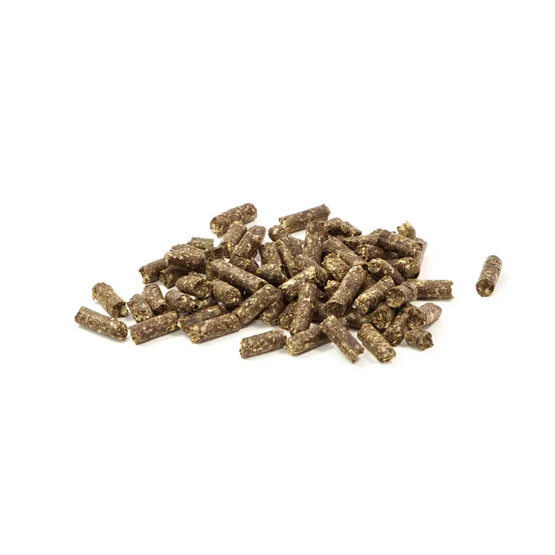 GlasGarten Humin Sticks GlasGarten