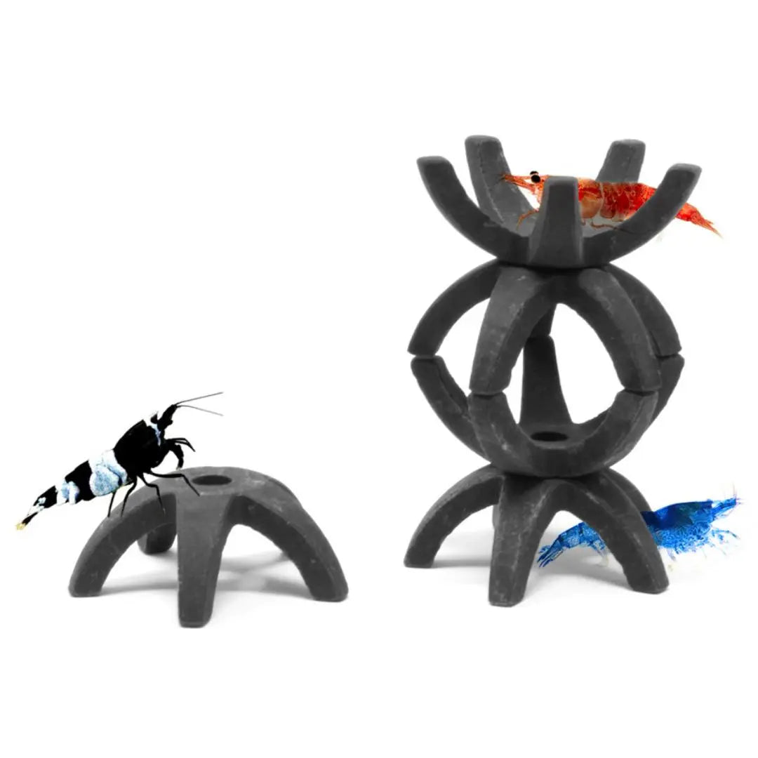 Aquavitro - Shrimp Stars (5 pezzi) Aquarium Setup