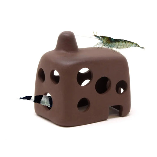 Aquavitro - Shrimp Small Hut Aquarium Setup