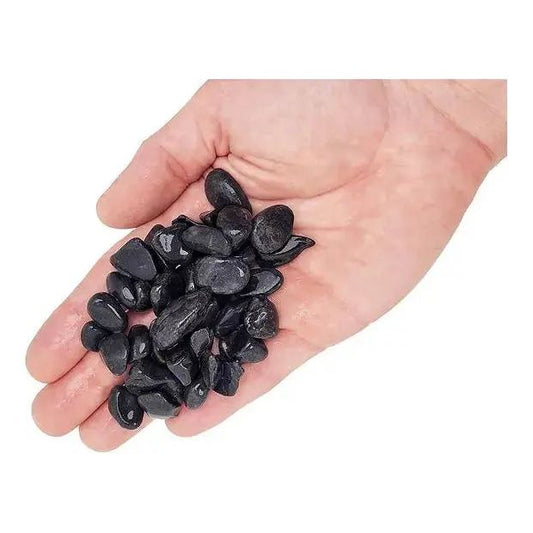 WIO - Black Venom Gravel - Aquarium Setup