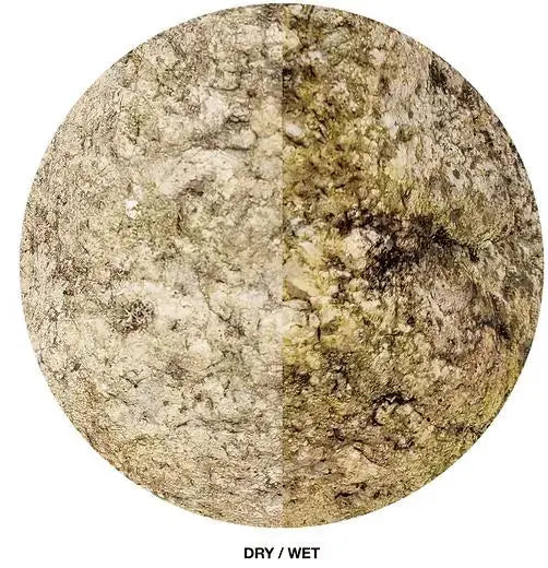 WIO - Elderly Boulder WIO