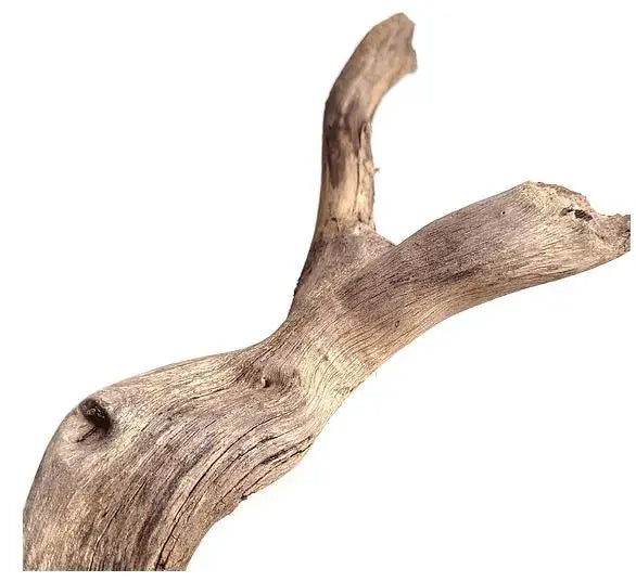 WIO - Neptune Wood WIO