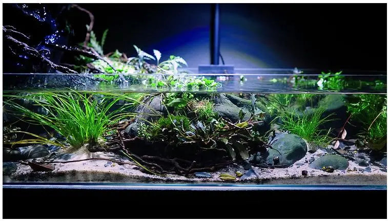 WIO - Insula Pads WIO