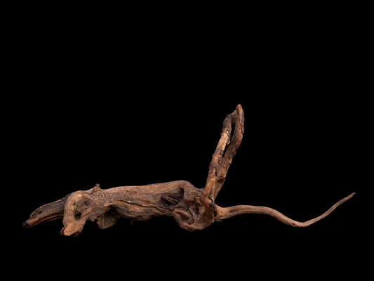 Drift Wood - 62*19*24 - cod.044 AQPET