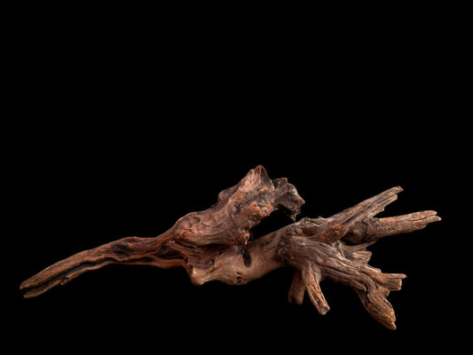 Drift Wood - 53*14*16 - cod.046 AQPET