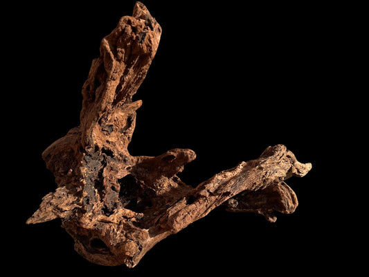 Drift Wood - 61*32*43 - cod.053 AQPET