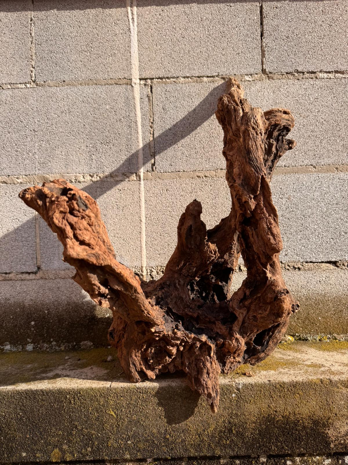 Drift Wood - 61*32*43 - cod.053 AQPET