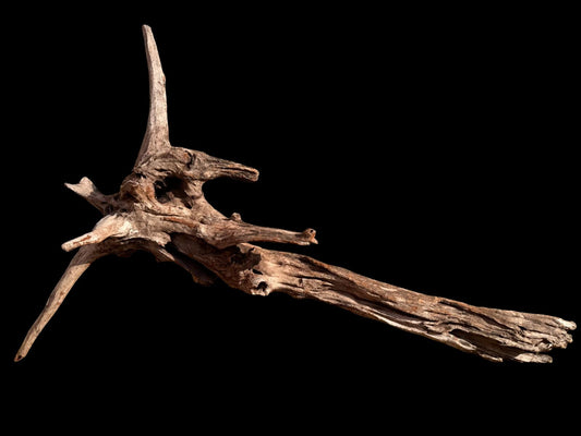 Drift Wood - 85*22*55 - cod.055 AQPET