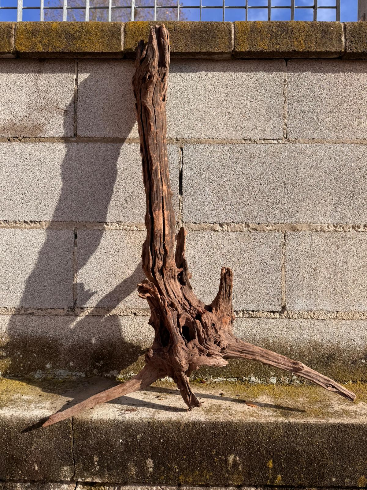 Drift Wood - 85*22*55 - cod.055 AQPET
