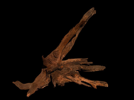 Drift Wood - 58*35*44 - cod.058 AQPET