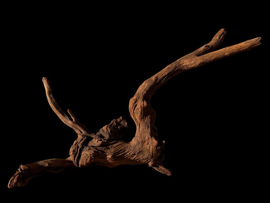 Drift Wood - 61*21*41 - cod.060 AQPET