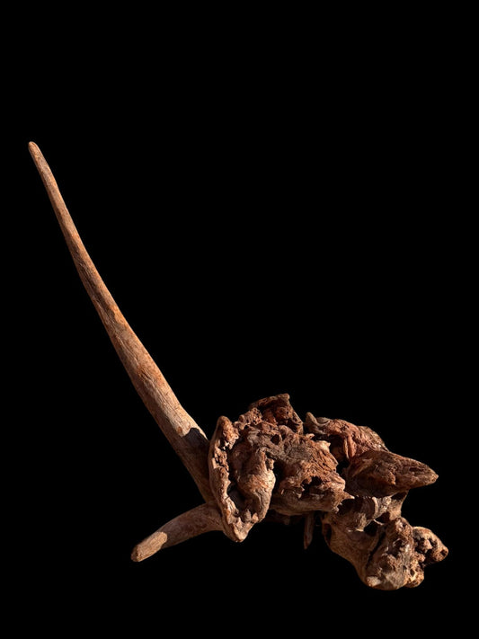 Drift Wood - 58*27*55 - cod.063 AQPET