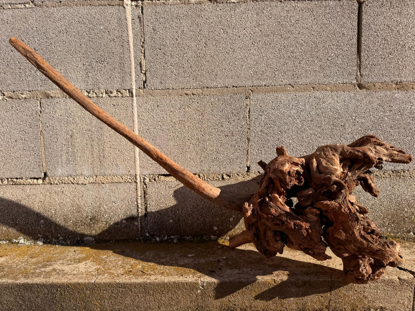 Drift Wood - 58*27*55 - cod.063 AQPET