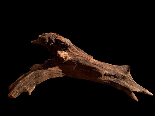 Drift Wood - 45*19*24 - cod.066 AQPET