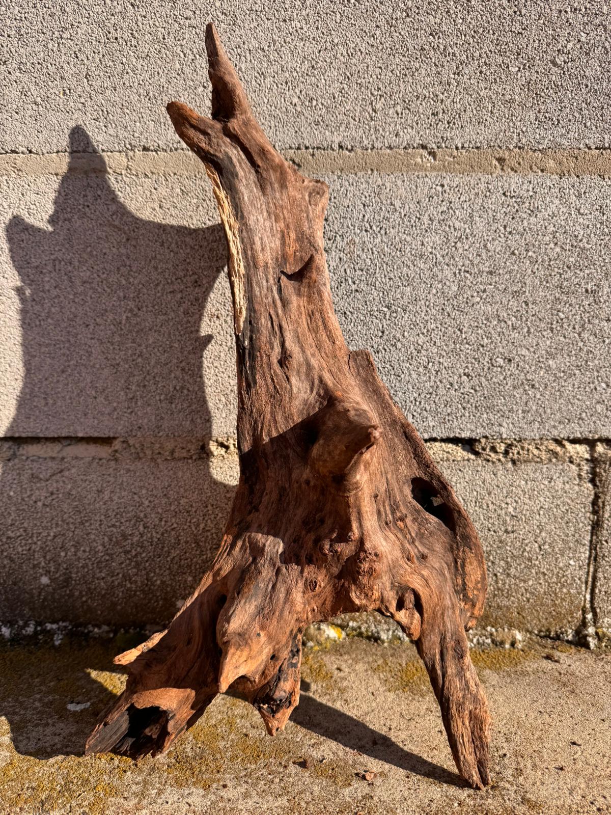 Drift Wood - 45*19*24 - cod.066 AQPET
