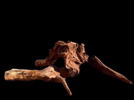 Drift Wood - 42*26*13 - cod.067 AQPET