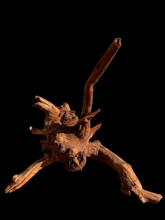 Drift Wood - 35*33*28 - cod.068 AQPET