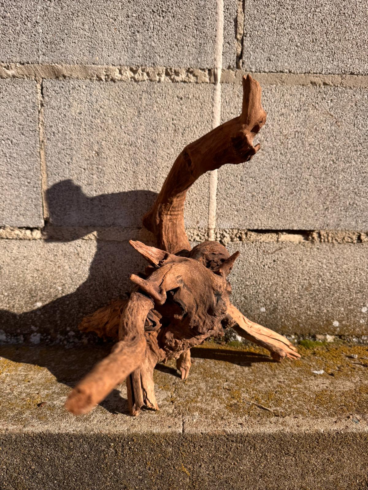 Drift Wood - 35*33*28 - cod.068 AQPET