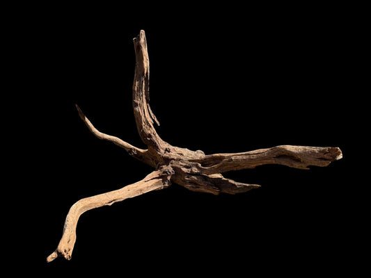 Drift Wood - 70*50*45 - cod.070 AQPET