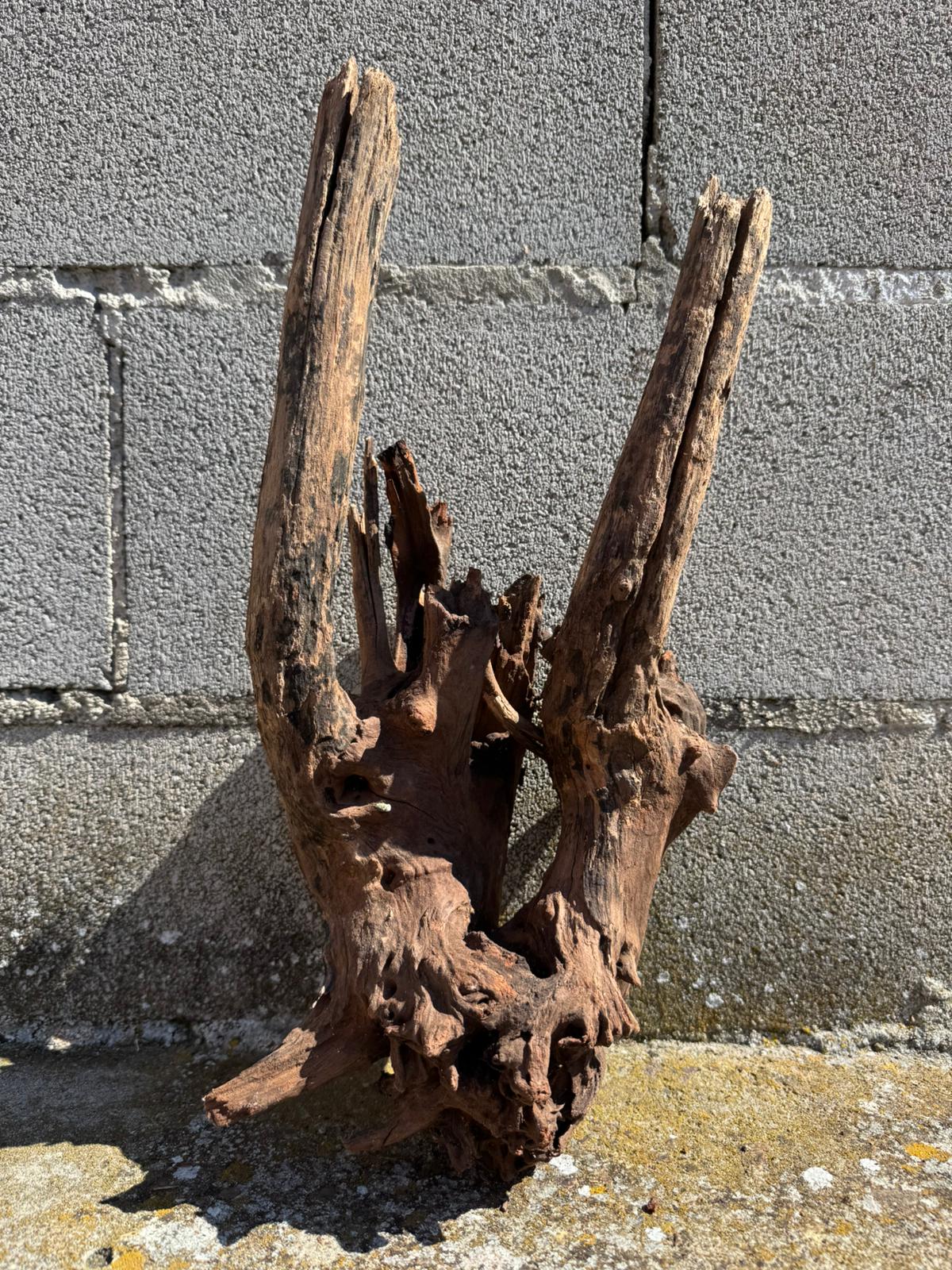 Drift Wood - 41*17*25 - cod.073 AQPET