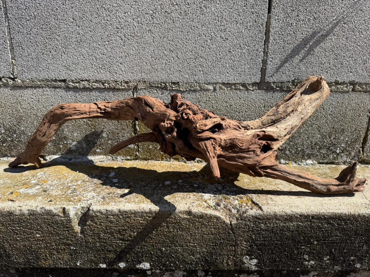 Drift Wood - 69*18*22 - cod.074 AQPET
