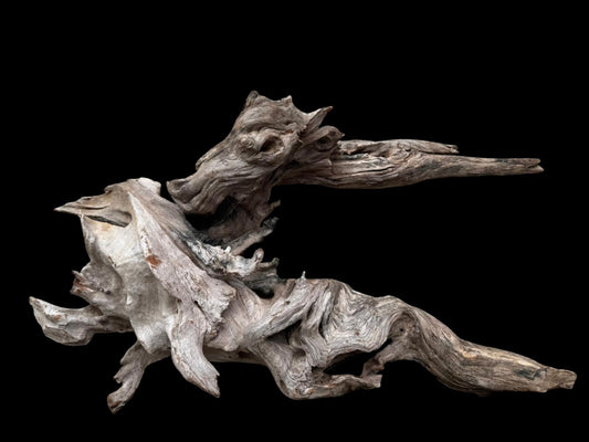Drift Wood - 55*17*26 - cod.076 AQPET