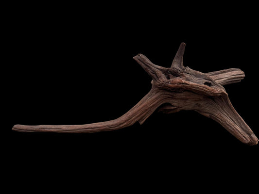 Drift Wood - 67*16*27 - cod.079 AQPET