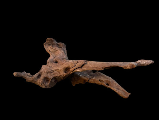 Drift Wood - 38*21*17 - cod.080 AQPET