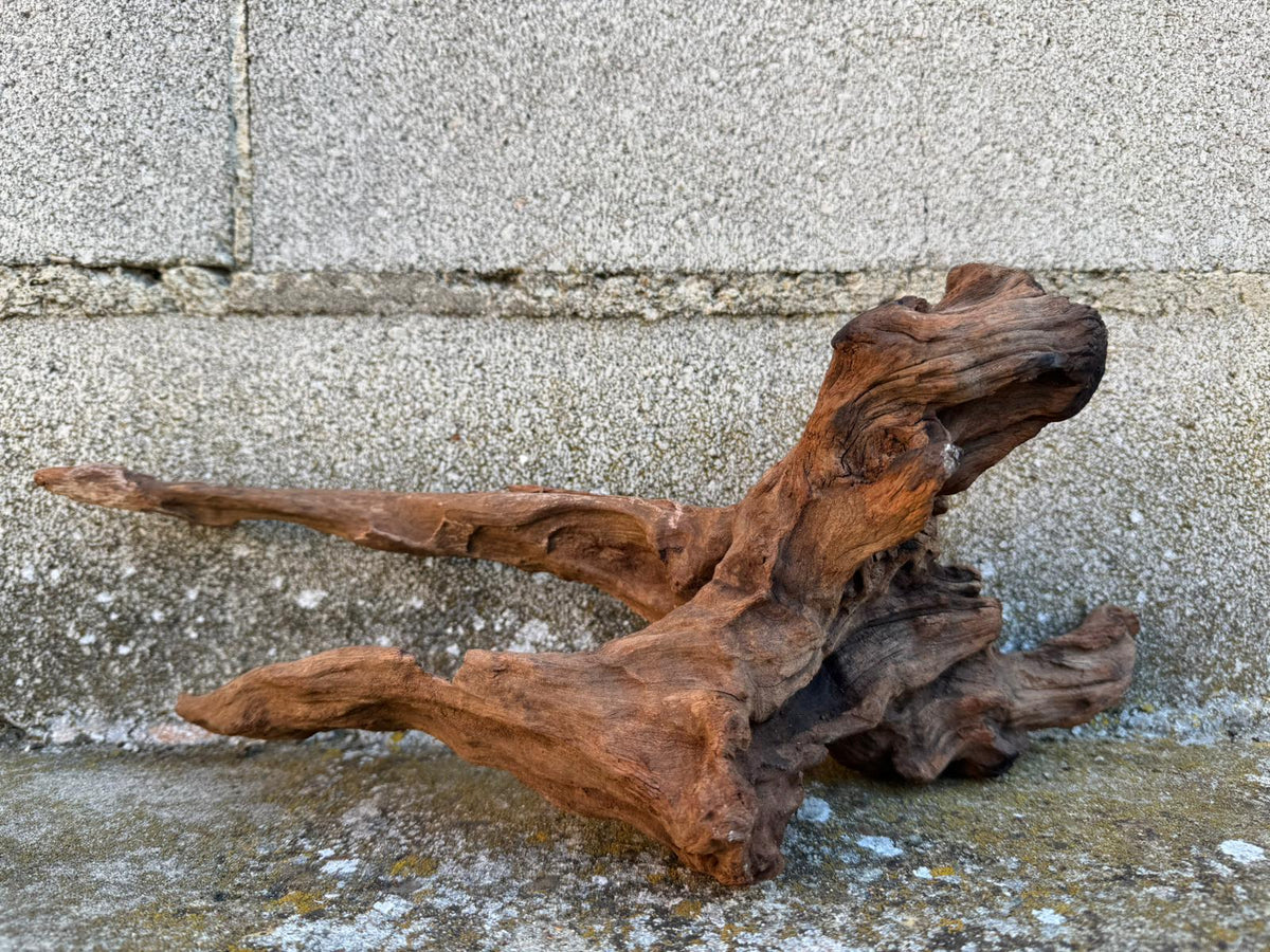 Drift Wood - 38*21*17 - cod.080 AQPET
