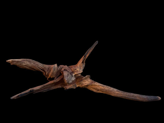 Drift Wood - 44*20*20 - cod.081 AQPET