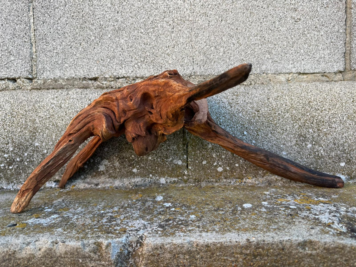 Drift Wood - 44*20*20 - cod.081 AQPET