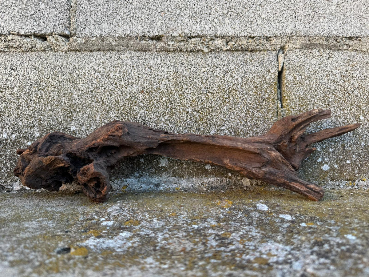 Drift Wood - 37*7*9 - cod.082 AQPET