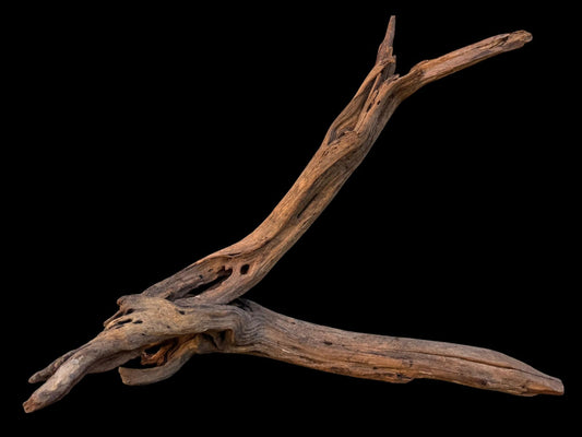 Drift Wood - 43*18*36 - cod.083 AQPET