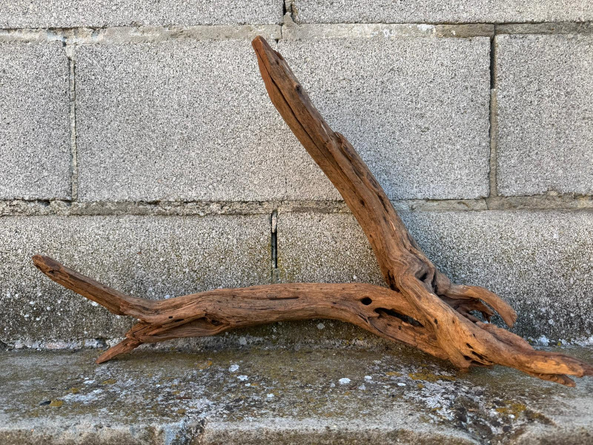 Drift Wood - 43*18*36 - cod.083 AQPET